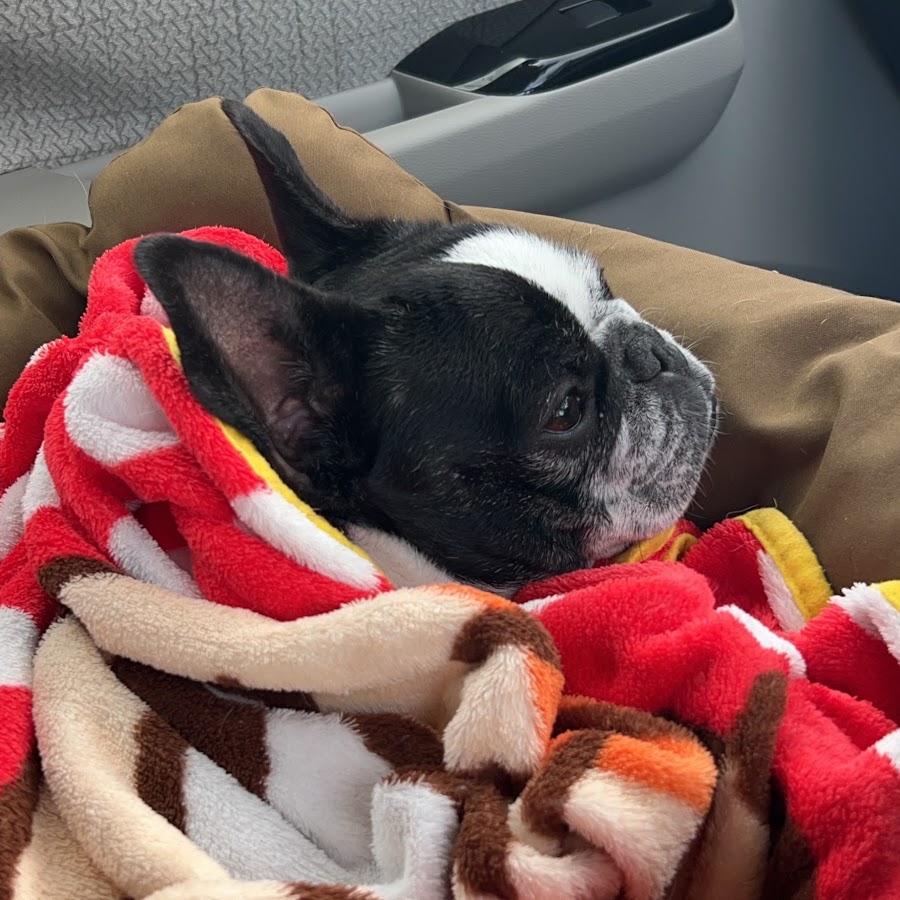 西森陽咲 Youtube