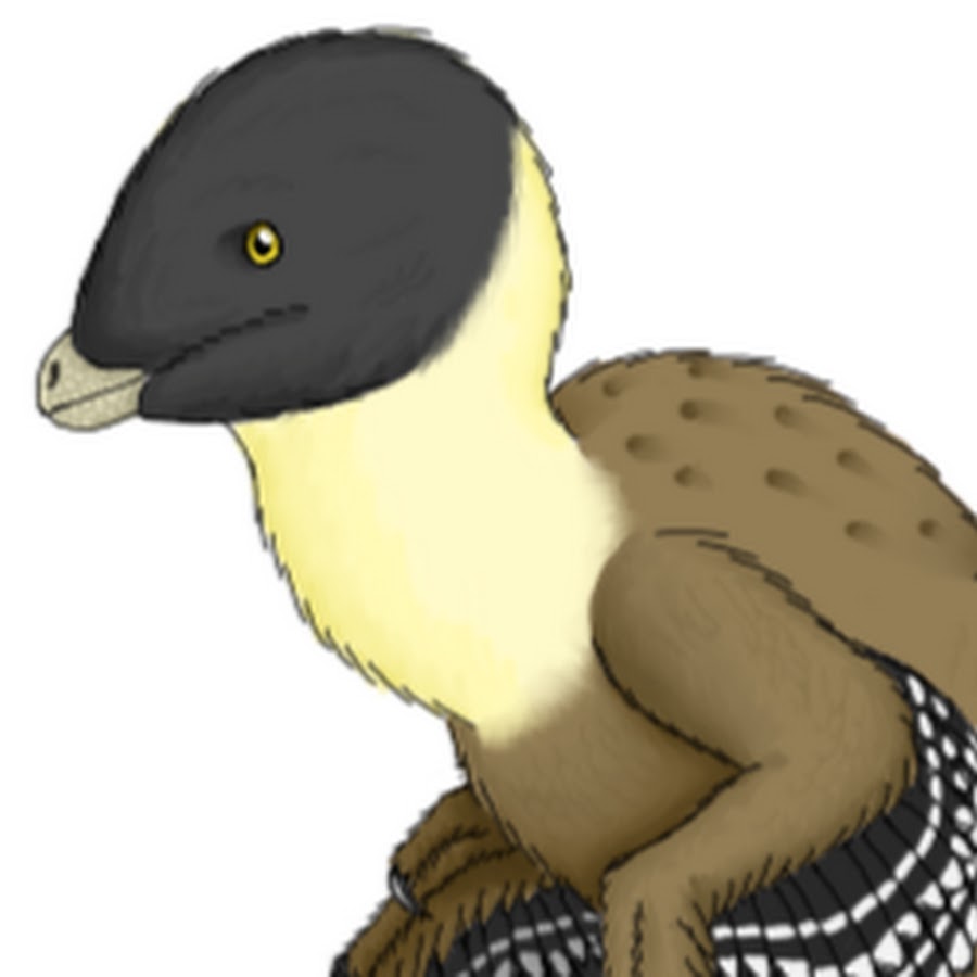DrawingDinosaurs YouTube channel avatar