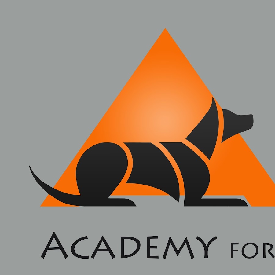 ACE Academy for Canine Educators ইউটিউব চ্যানেল অ্যাভাটার