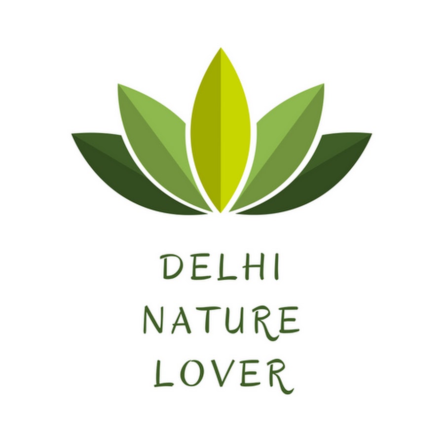 Delhi Nature Lover رمز قناة اليوتيوب
