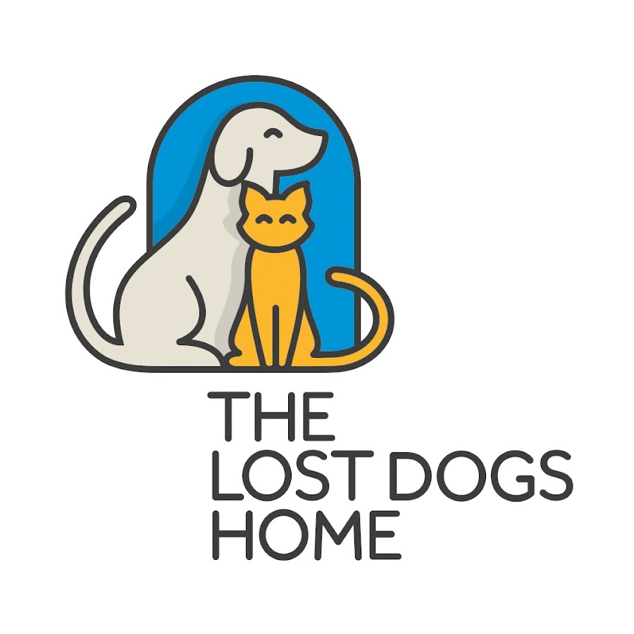 The Lost Dogs' Home YouTube channel avatar
