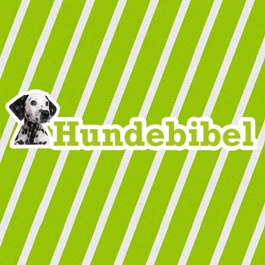 Hundebibel.de رمز قناة اليوتيوب