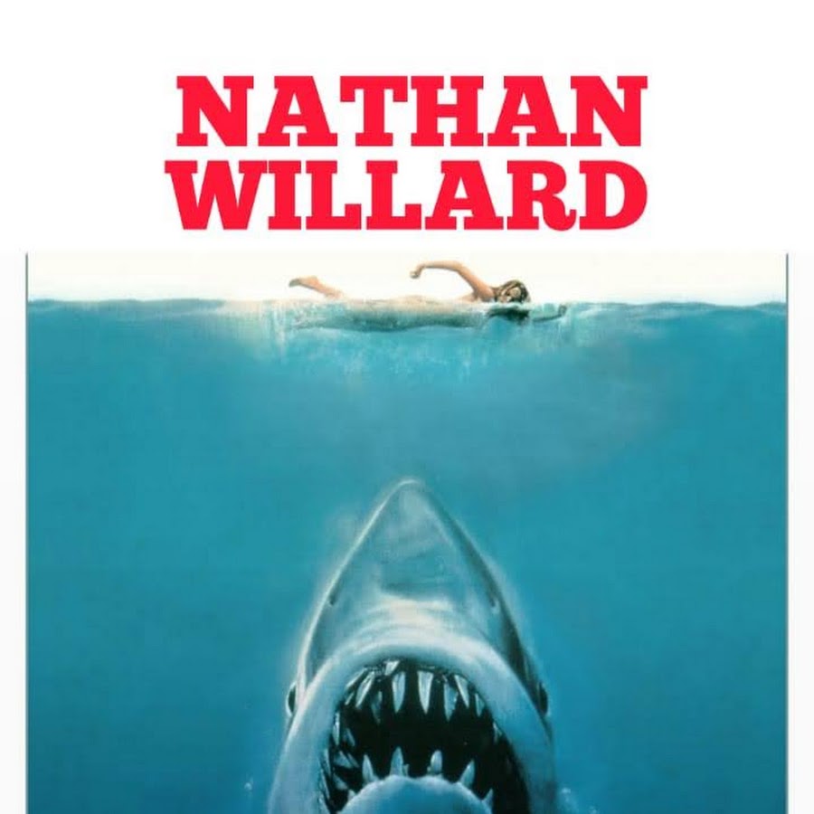 Nathan Willard Avatar canale YouTube 