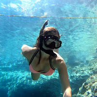 Nora Svet Net Worth in 2021 - Income and Wealth Growth