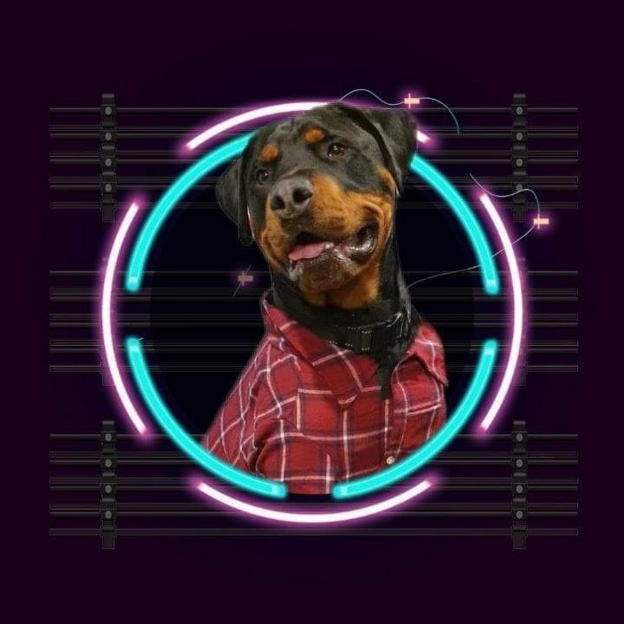 Sprout The Rottweiler Avatar channel YouTube 