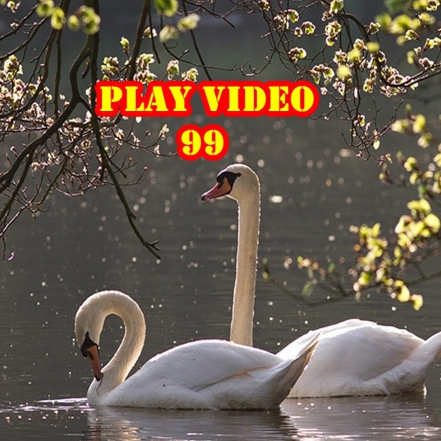 Play video 99