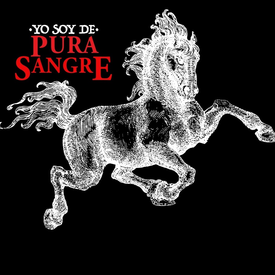 Pura Sangre Avatar canale YouTube 