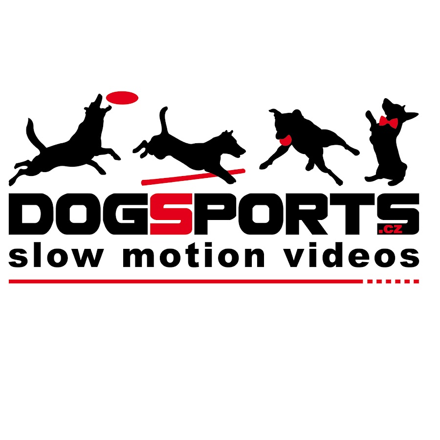 DogSports Cz Avatar canale YouTube 