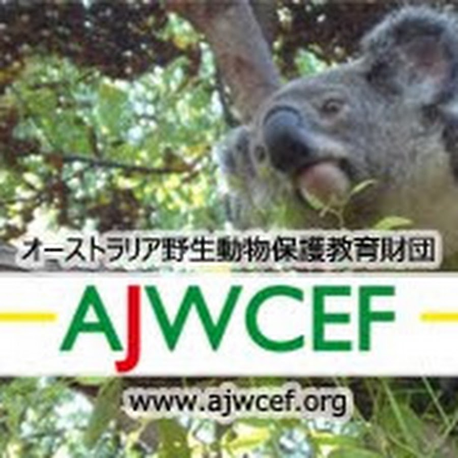 Ajwcef Org Youtube
