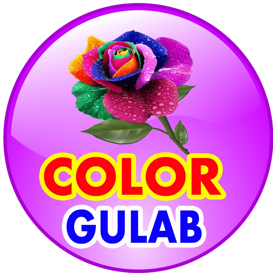 Color Gulab YouTube channel avatar