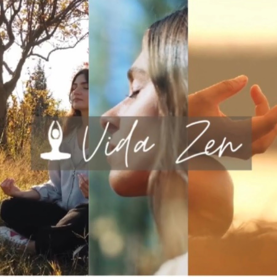 Vida Zen Awatar kanału YouTube