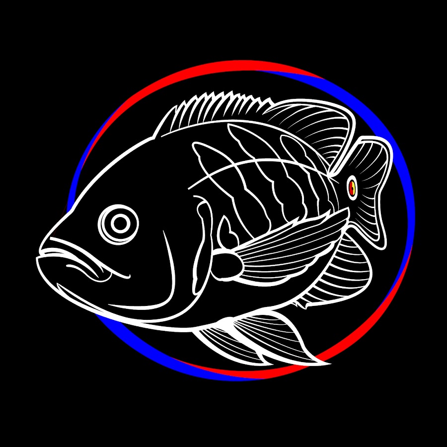 Ray aquarismo YouTube channel avatar