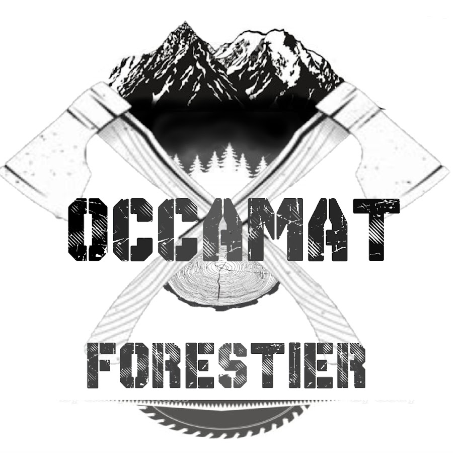 OCCAMAT12 Avatar del canal de YouTube