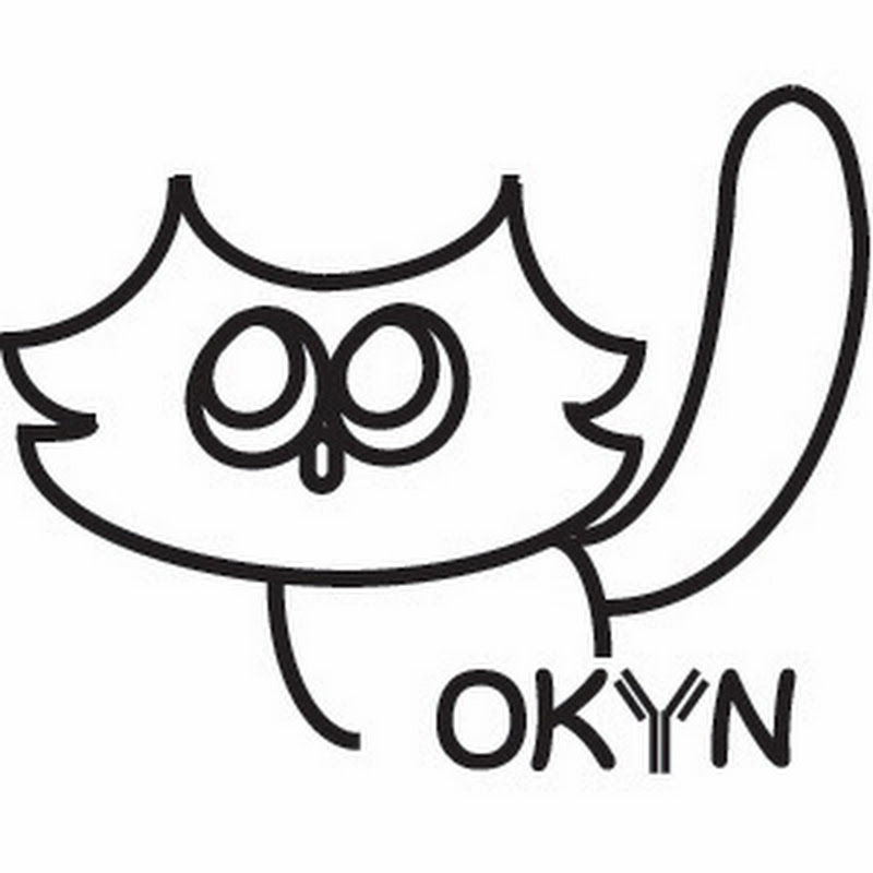 Theo the talking cat - 網紅的藏寶箱 