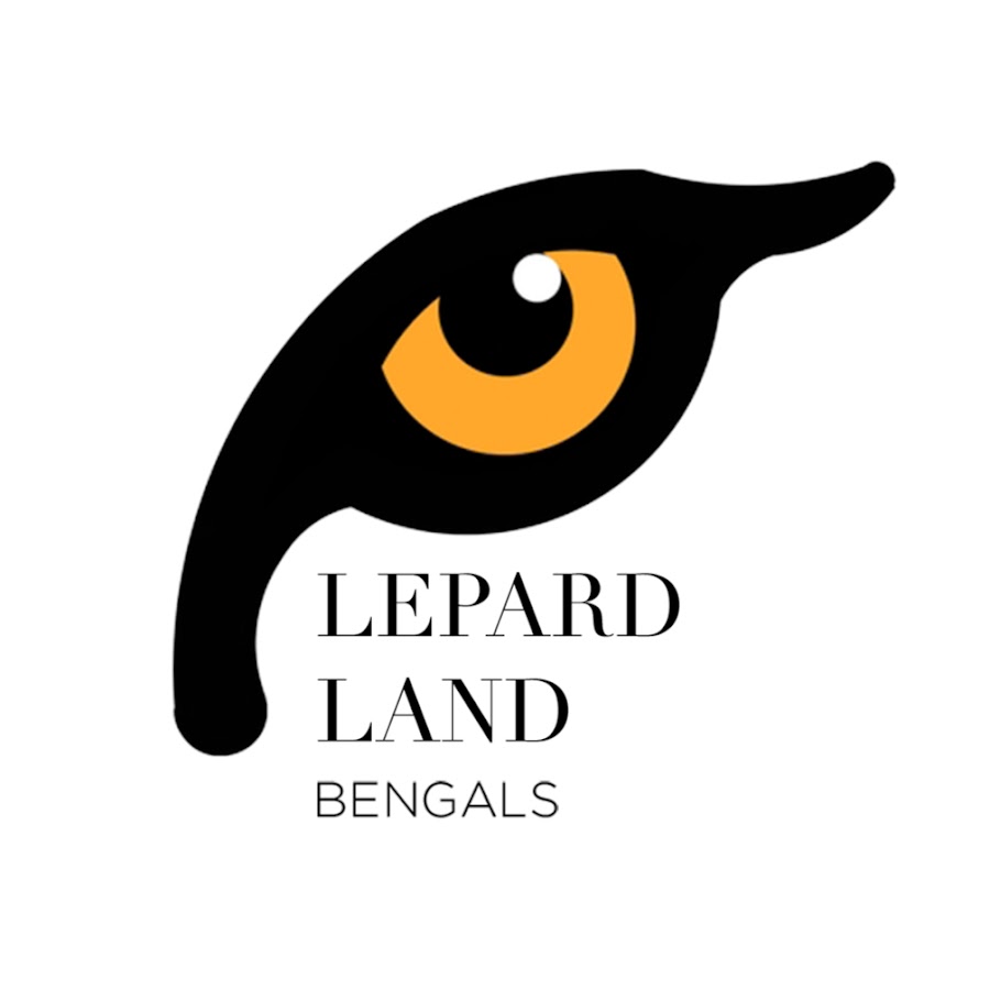 Lepardland Bengal. Criadero Oficial Gato Bengali Avatar del canal de YouTube