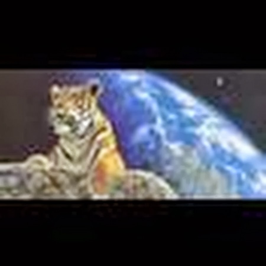 kaliman173 Avatar de chaîne YouTube