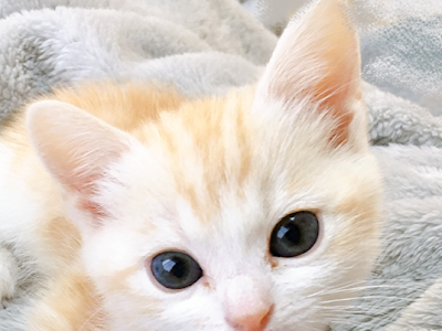 25 ++ 大谷和美 144980