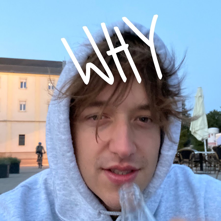 Why Nils यूट्यूब चैनल अवतार