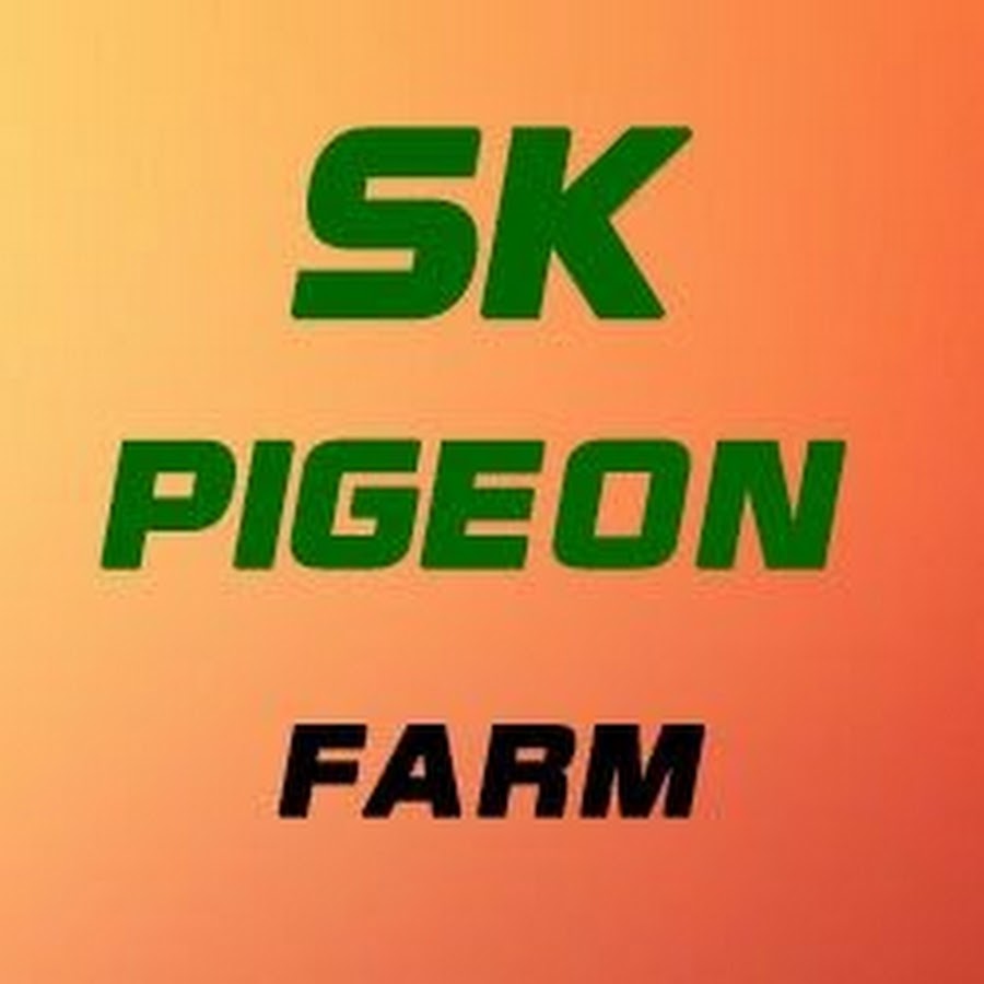 SK PIGEON FARM