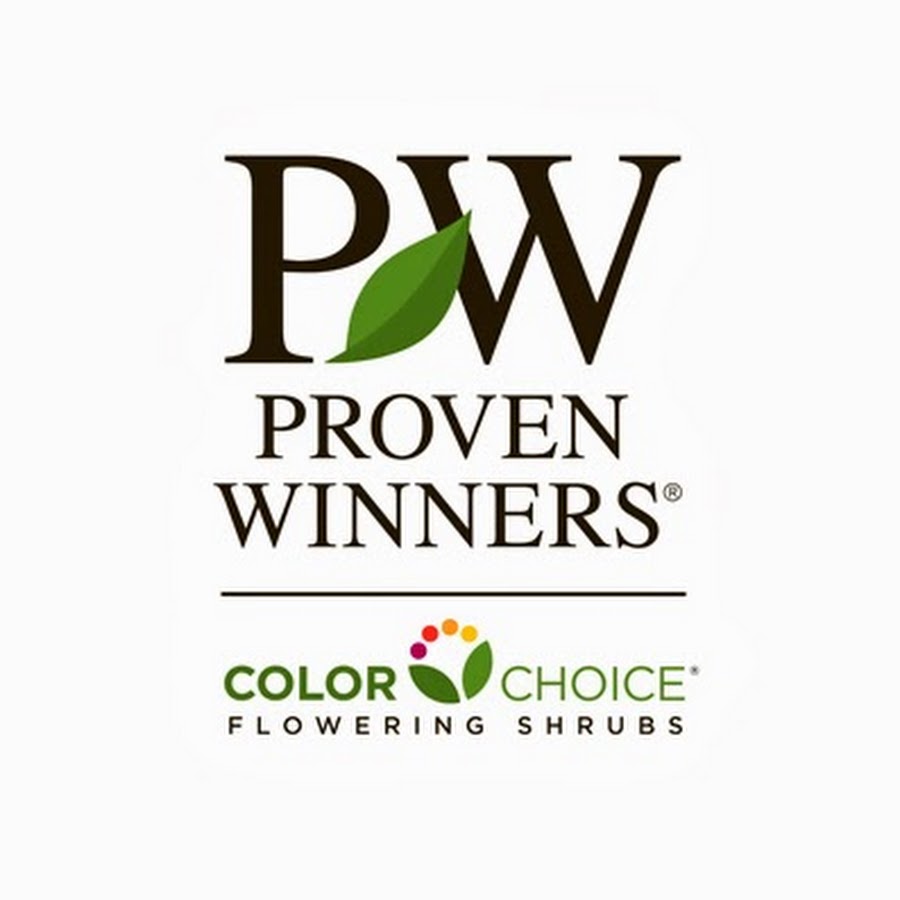 Proven Winners ColorChoice Flowering Shrubs YouTube-Kanal-Avatar