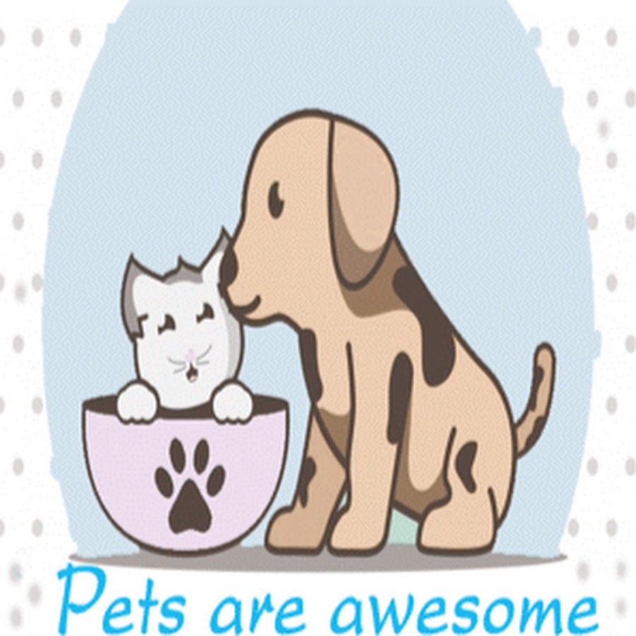 Pets are awesome