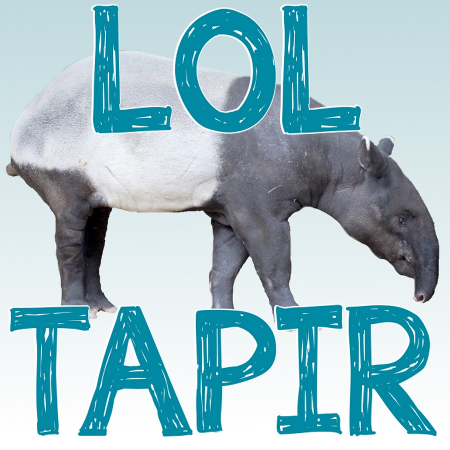 LOLtapir