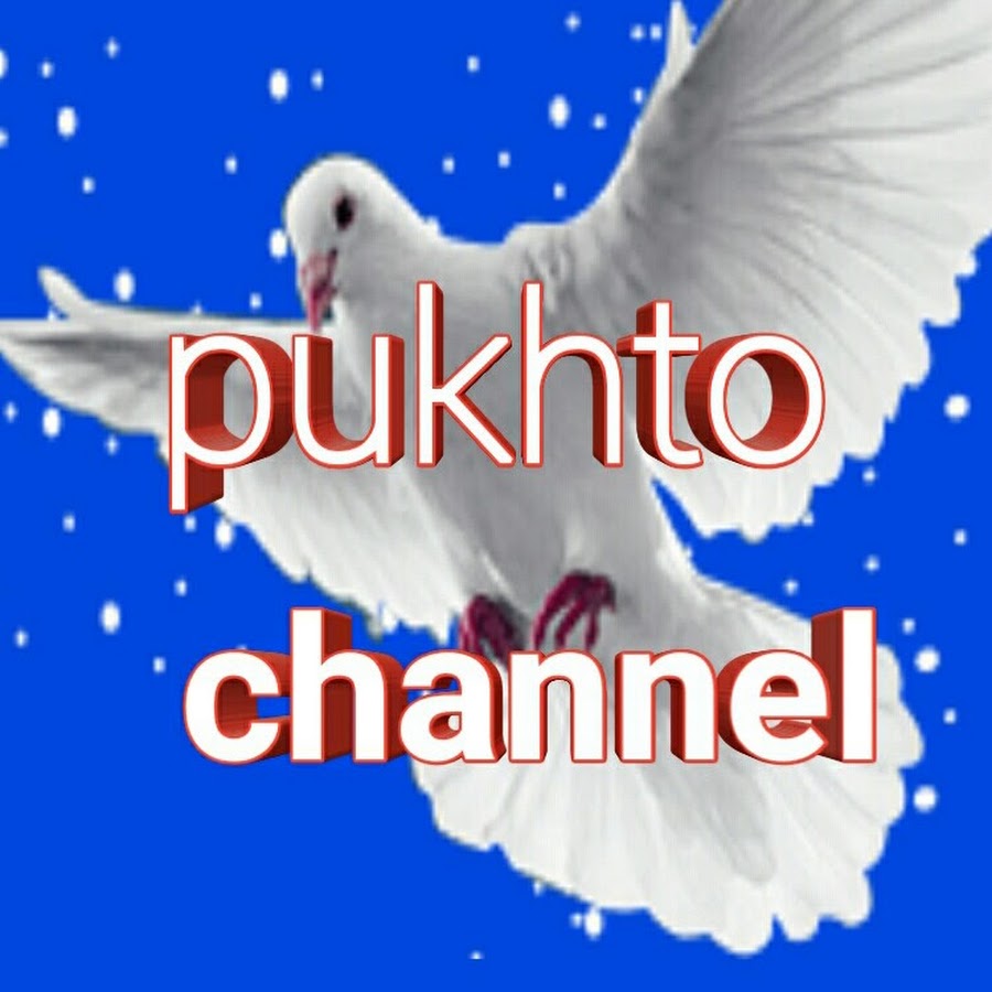 pukhto channel رمز قناة اليوتيوب