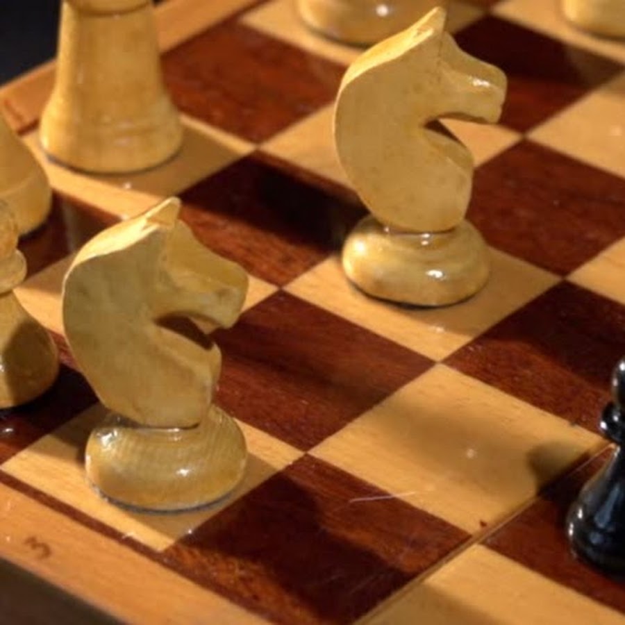 Chess Fan Avatar canale YouTube 