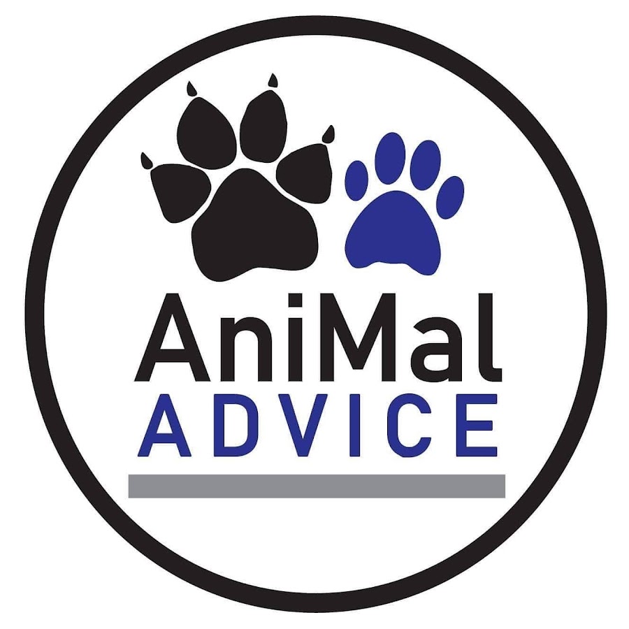 AniMal Advice رمز قناة اليوتيوب