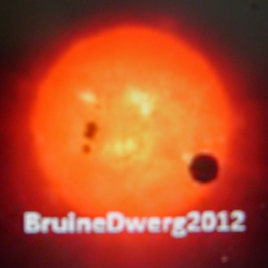 BruineDwerg2012