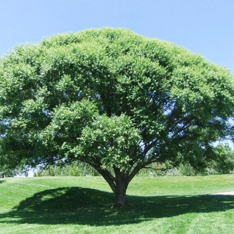 HirokunTV - 網紅的藏寶箱 