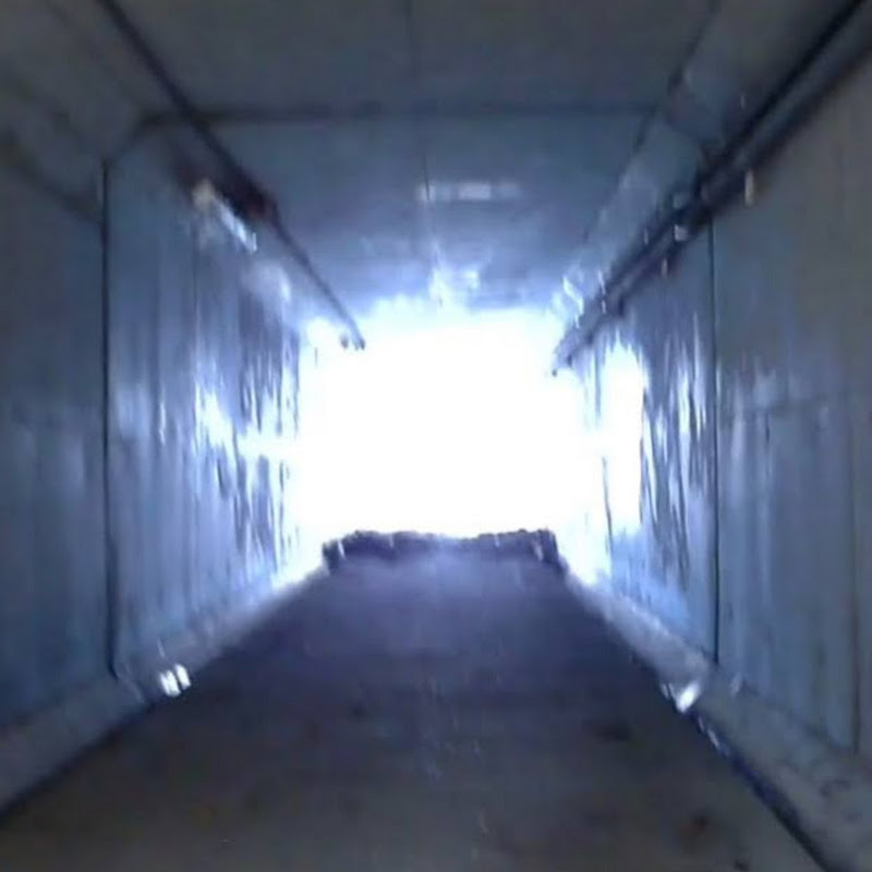 Fishing in Biwako JAPAN - 網紅的藏寶箱 