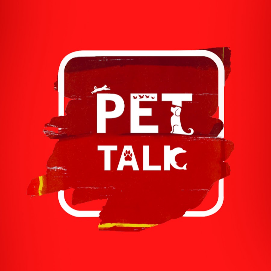 Pet Talk Avatar de chaîne YouTube