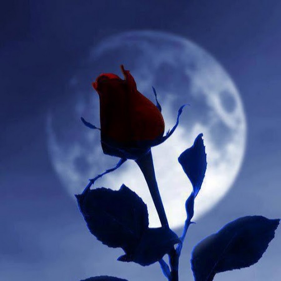 Flor de Luna TAROT