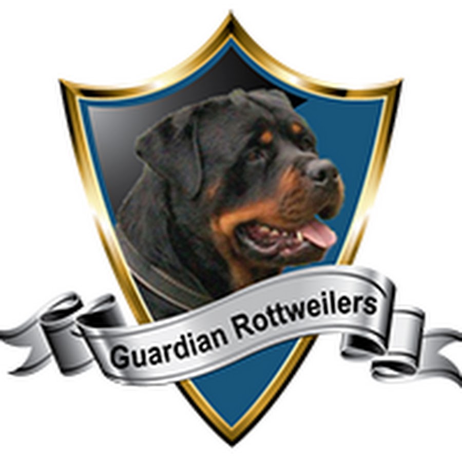 Guardian Rottweilers Avatar de chaîne YouTube