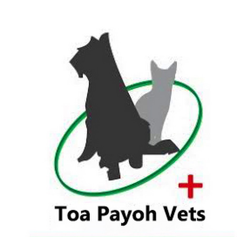 Toa Payoh Vets YouTube channel avatar