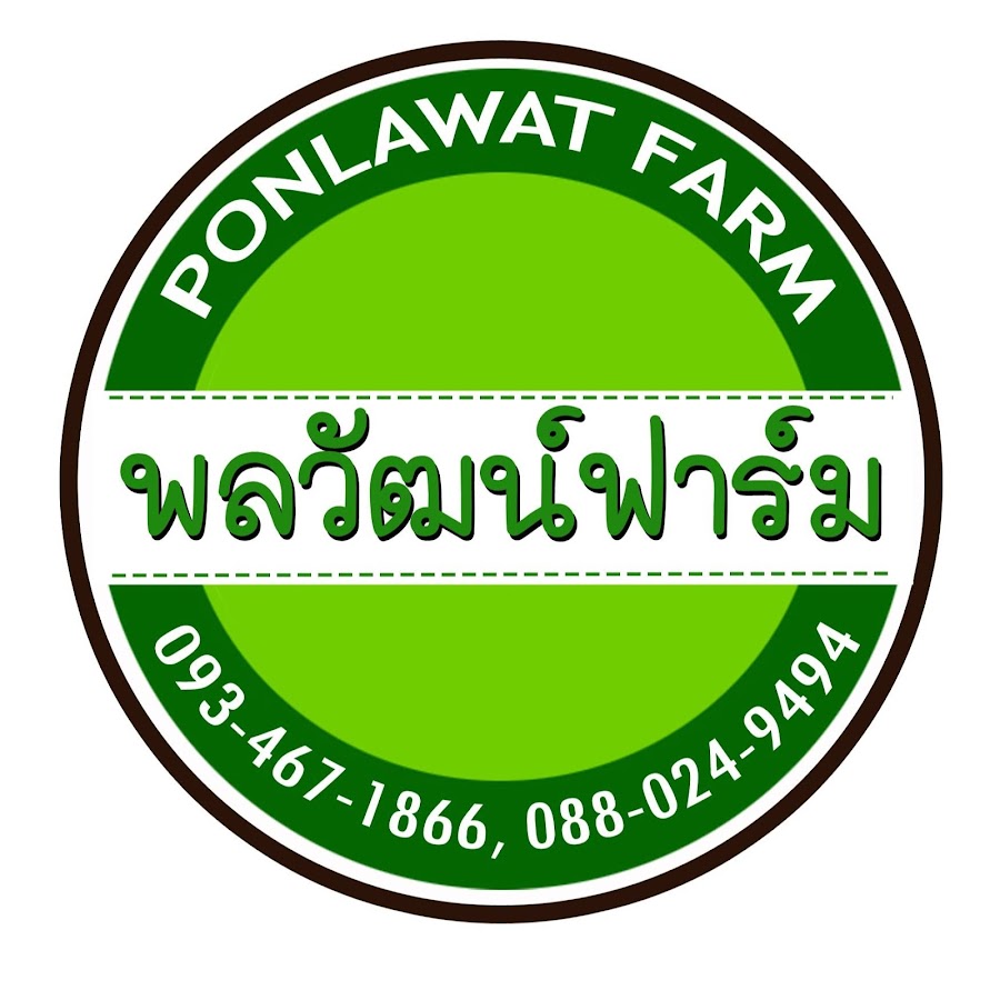 à¸žà¸¥à¸§à¸±à¸’à¸™à¹Œ à¸Ÿà¸²à¸£à¹Œà¸¡ Ponlawat Farm YouTube channel avatar