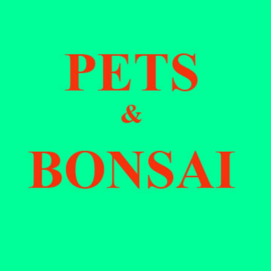 pets and bonsai