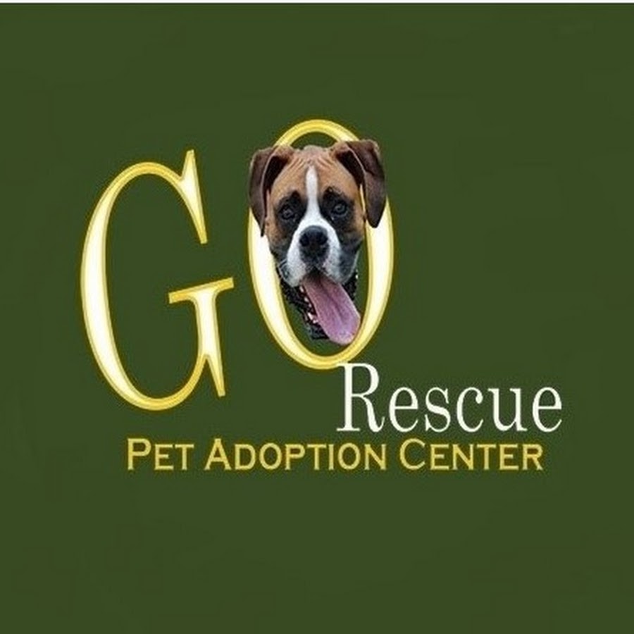 GO RESCUE Pet Adoption Center YouTube channel avatar