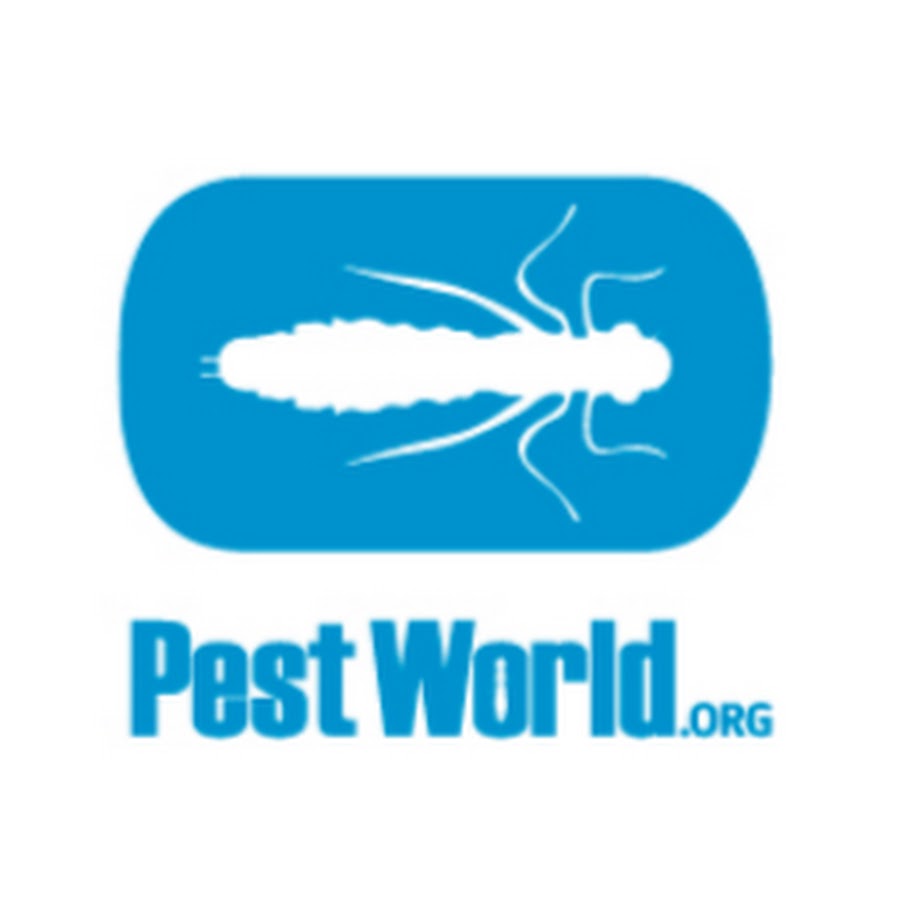 PestWorld YouTube 频道头像