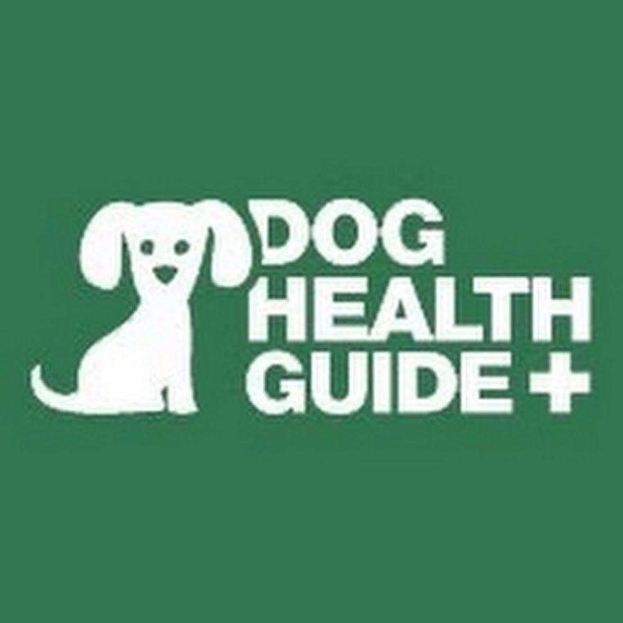 DogHealthGuide Avatar canale YouTube 