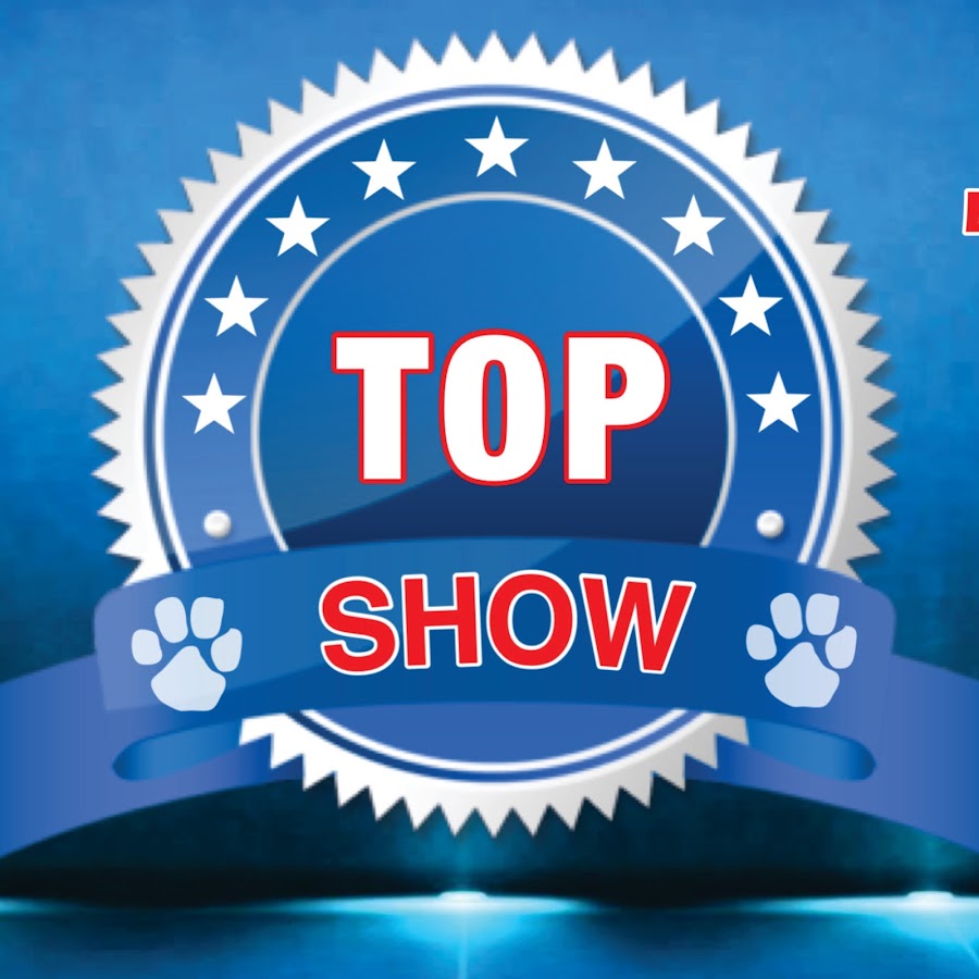 TOP SHOW CANINO Аватар канала YouTube