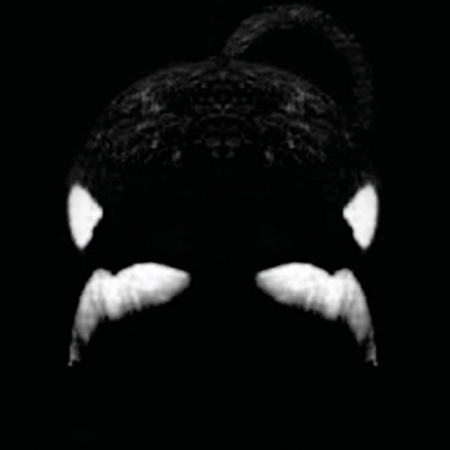 Blackfish YouTube channel avatar
