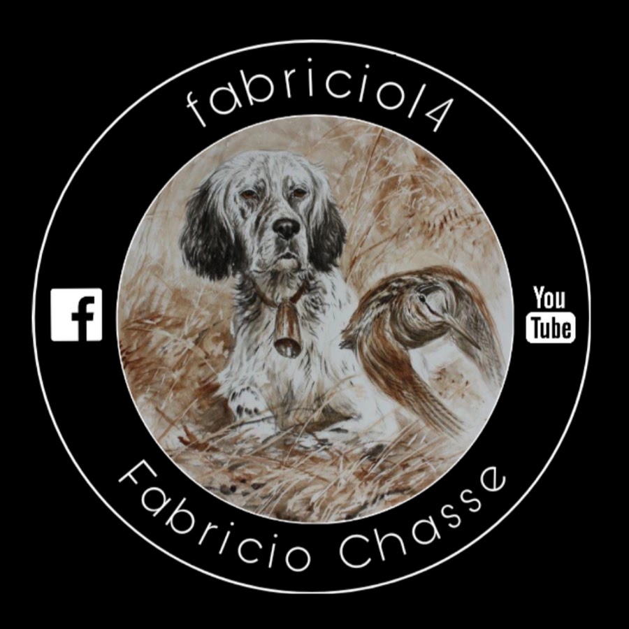 fabricio14 YouTube channel avatar