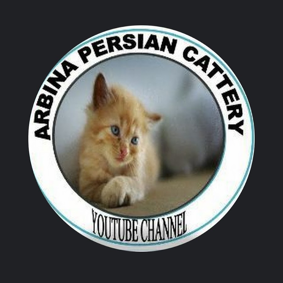 pets information hindi رمز قناة اليوتيوب