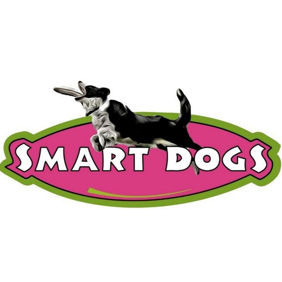 familia smartdogs
