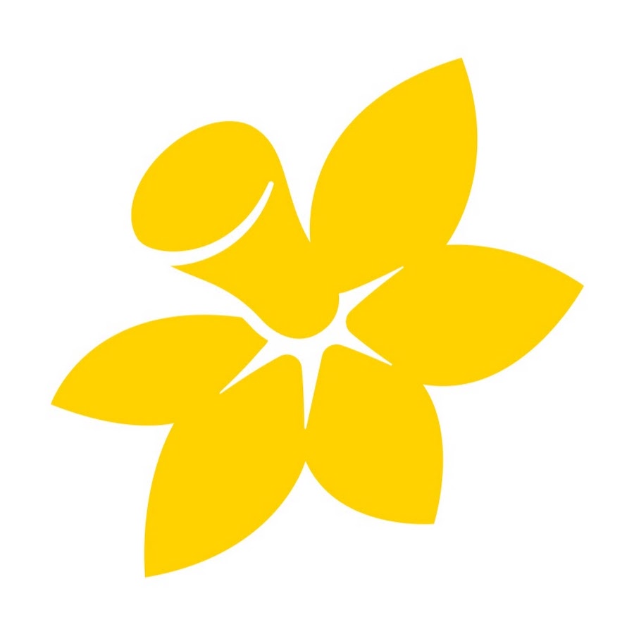 Cancer Council NSW YouTube channel avatar