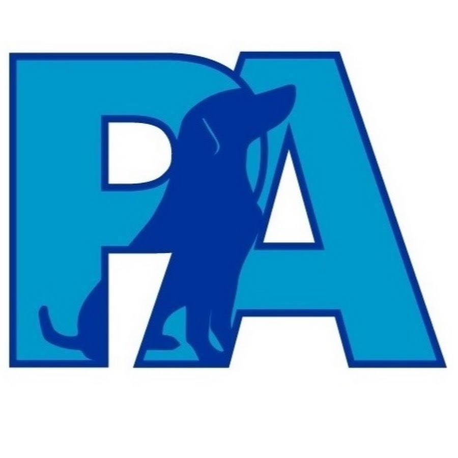 PA Dog Rescue ইউটিউব চ্যানেল অ্যাভাটার