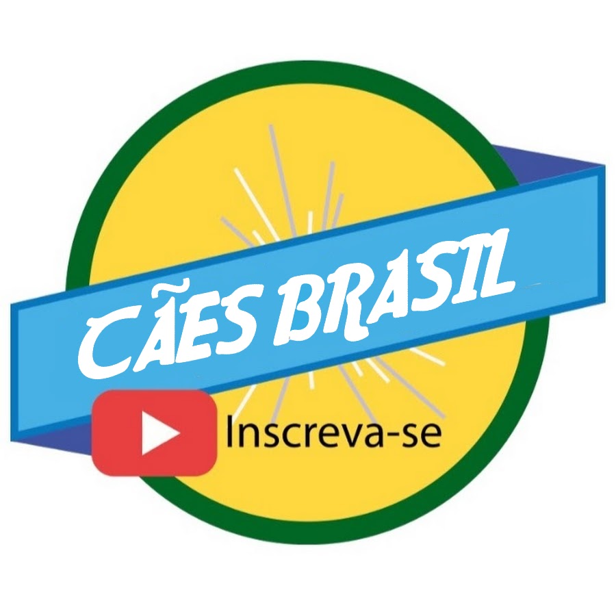 Bora Brasil YouTube channel avatar