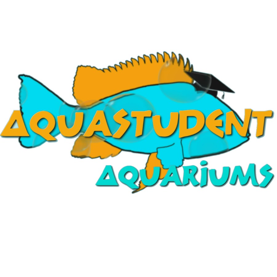 AquaStudent Awatar kanału YouTube